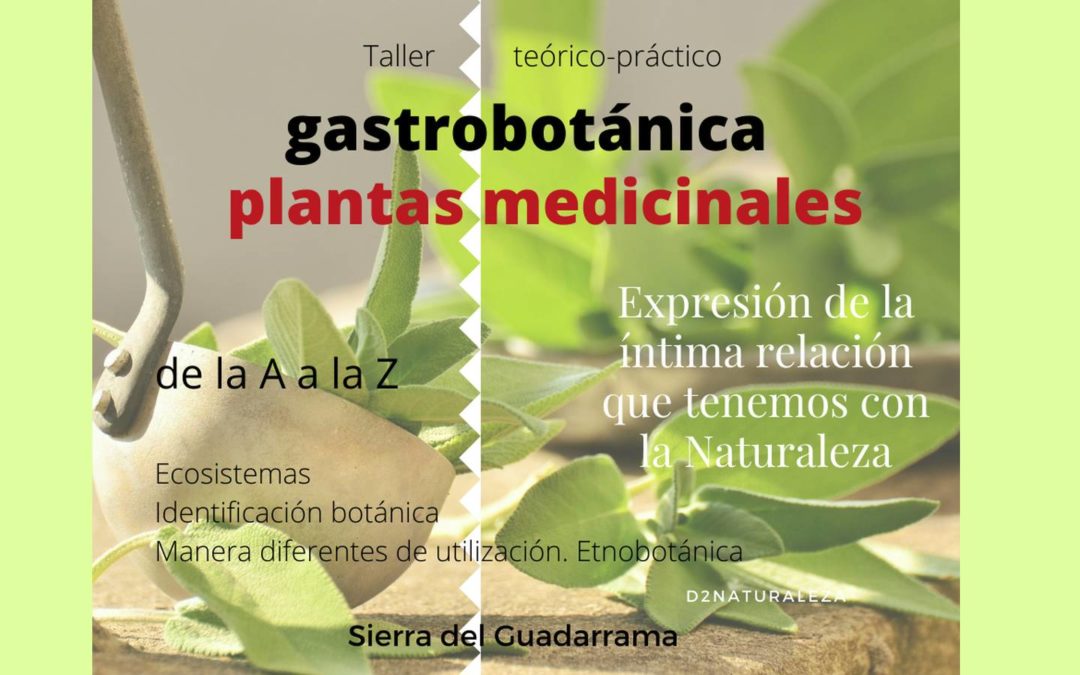 Gastrobotánica y Plantas Medicinales. Curso activo