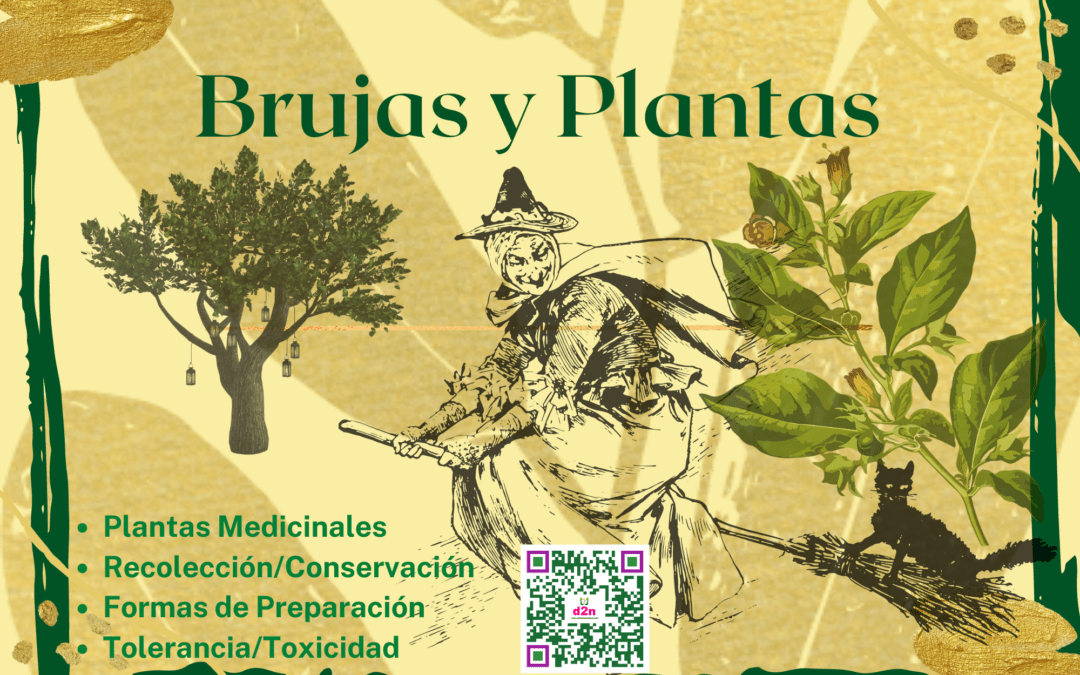 Brujas y Plantas. Curso Plantas Tóxicas y Medicinales